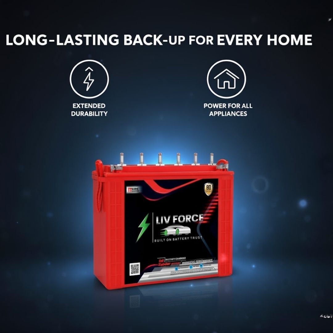 LIV FORCE TALL TUBULAR 300 AH Battery 2