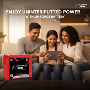 LIV FORCE TALL TUBULAR 300 AH