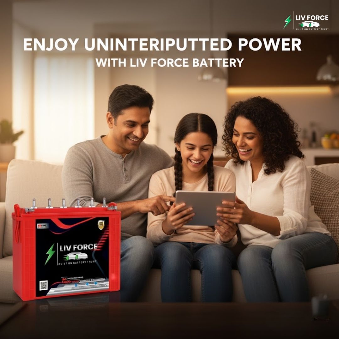 LIV FORCE TALL TUBULAR 300 AH